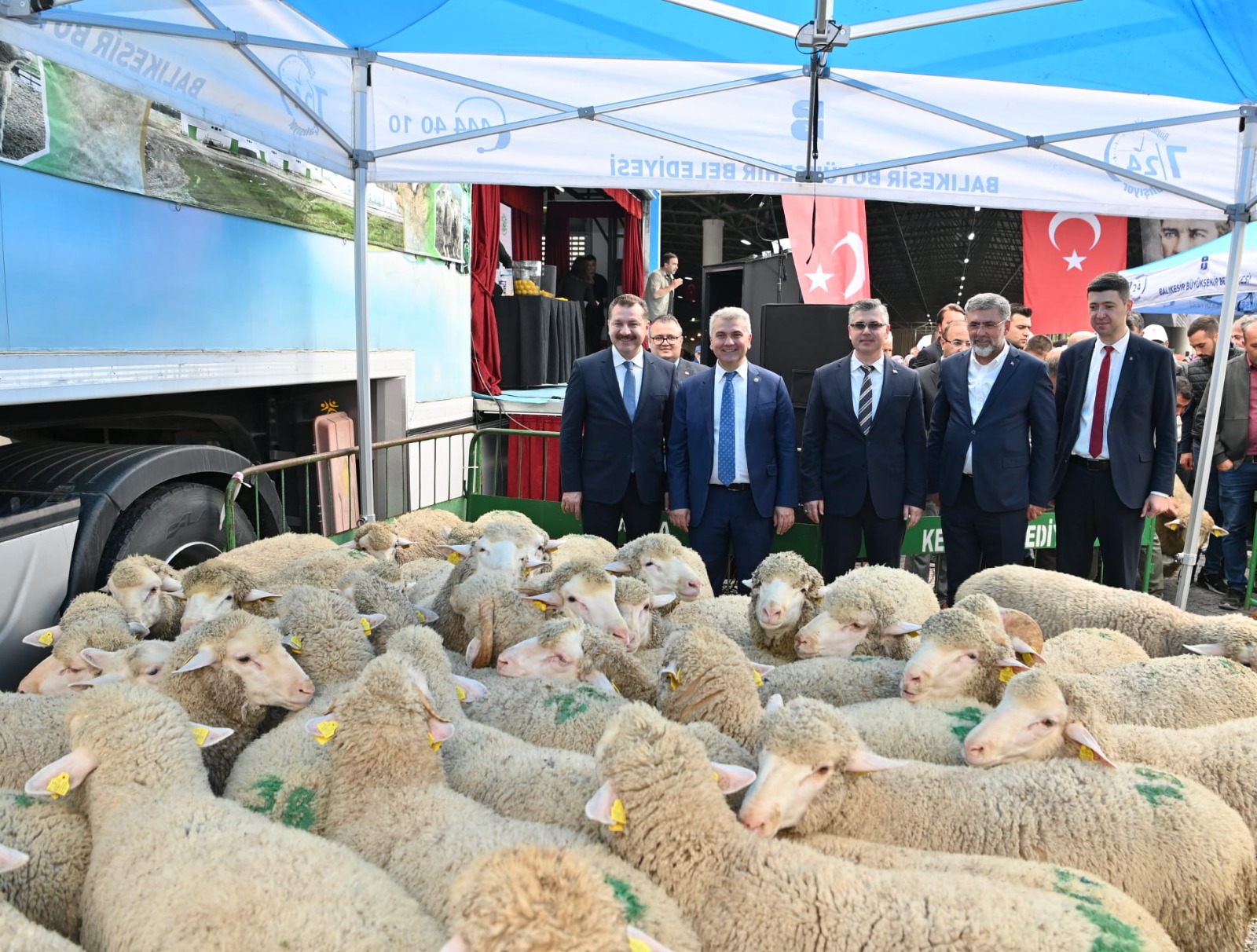 Kepsut Damızlık Üretim Tesisinde üretilen 41 damızlık koçu