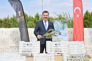 Büyükşehir’den hasat öncesinde zeytin ve incir üreticilerine destek