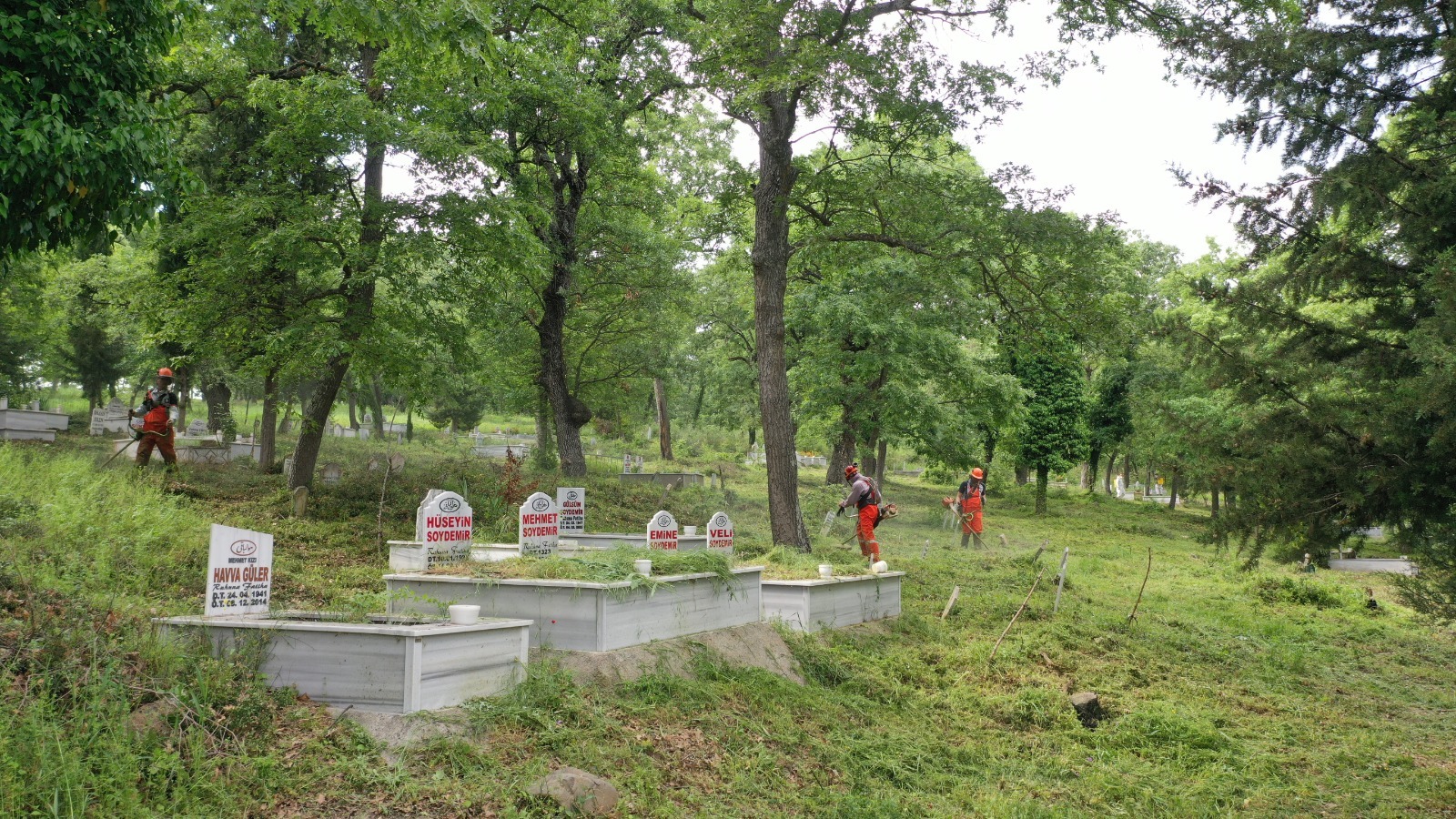Büyükşehir, planlı bir şekilde mezarlıkları temizleyecek